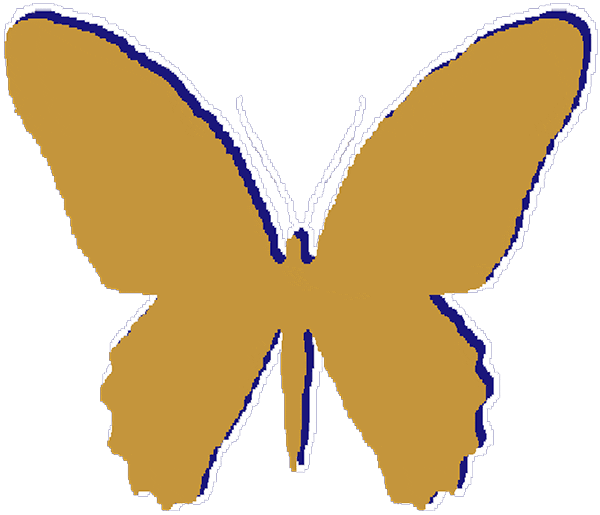 gold butterfly button