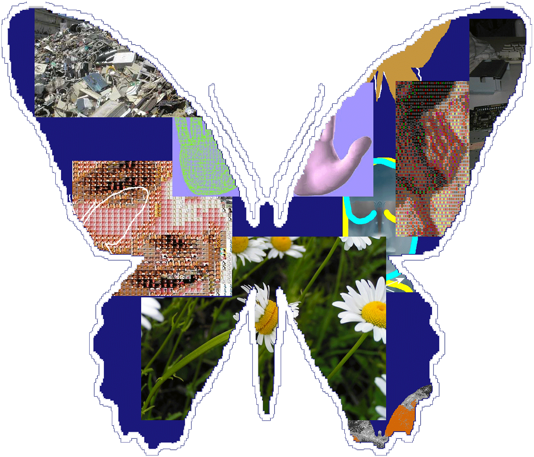 large butterfly collage